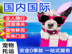 唐山三女河机场货运国际宠物托运 【国